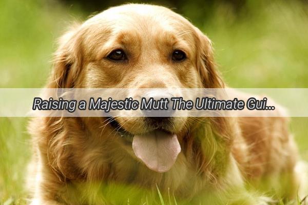 Raising a Majestic Mutt The Ultimate Guide to Nurturing a Giant Healthy Canine